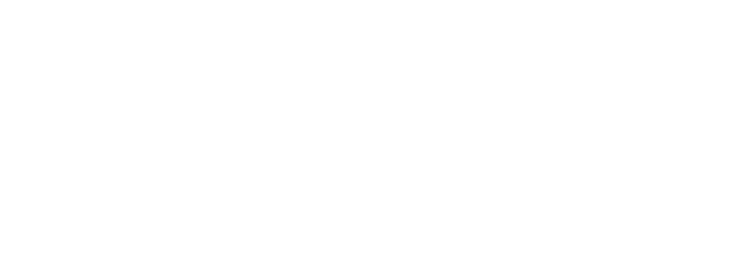 Virty Sistemas